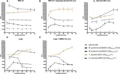 Nile Red Incubation Time Before Reading Fluorescence Greatly Influences the Yeast Neutral Lipids Quantification